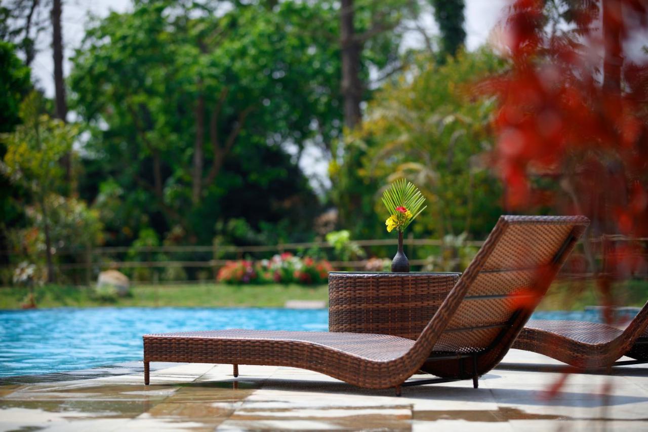 Jungle Villa Resort - Near Chitwan National Park Εξωτερικό φωτογραφία